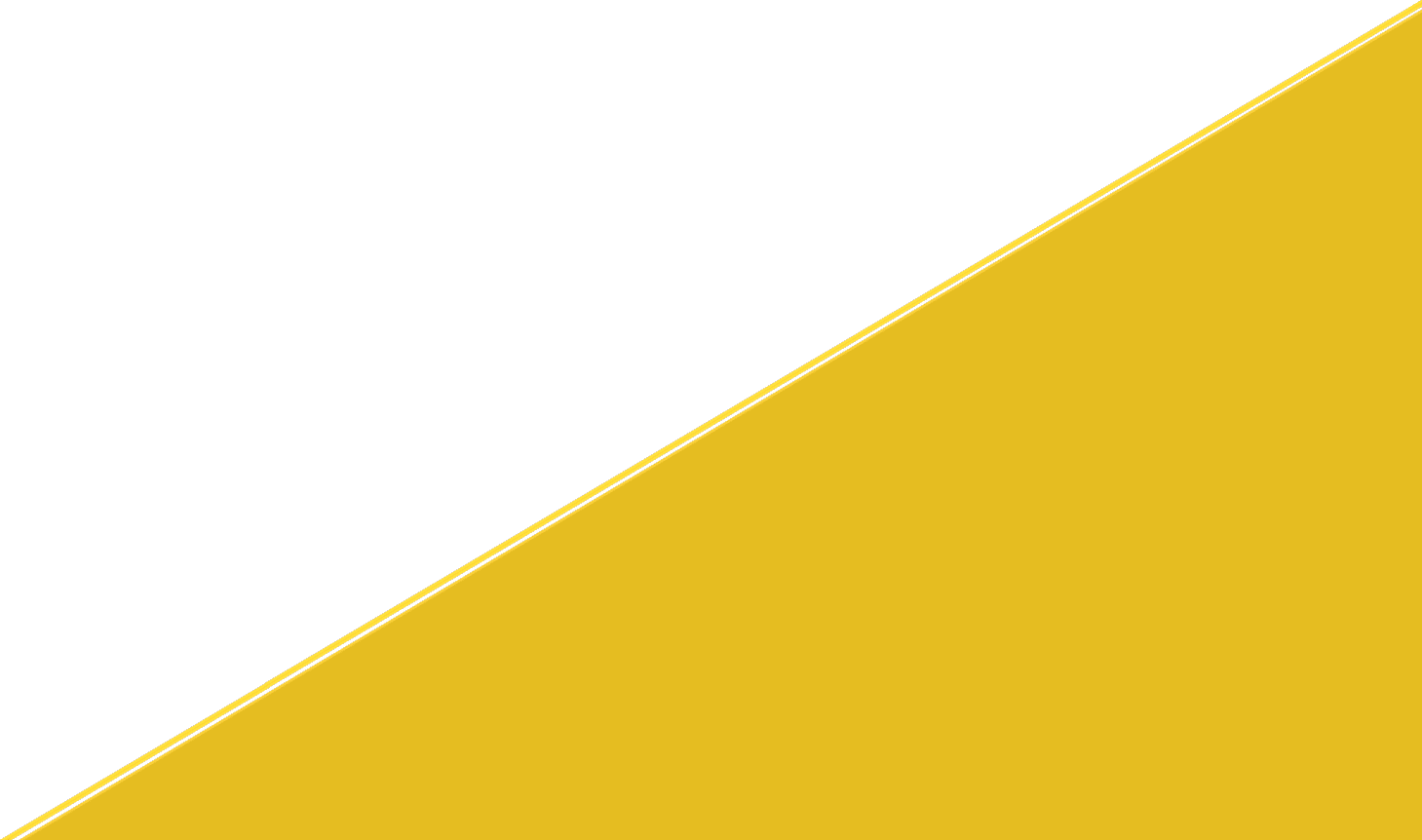 ÖZEL GÜVENLİK BANNER